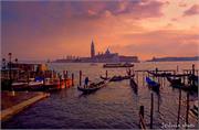 VENICE21 (9)